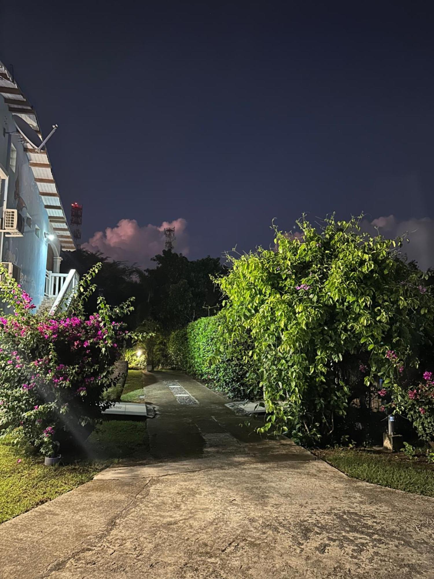 Appartement Coeur De Papillon Baie-Mahault Luaran gambar