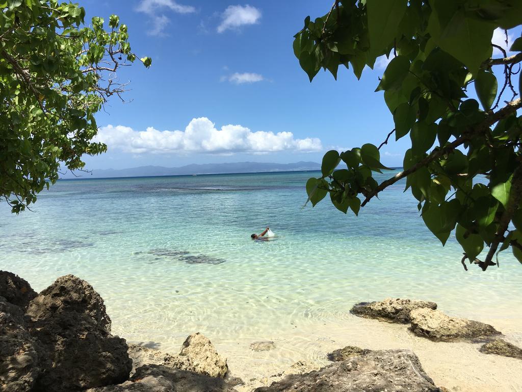 Appartement Coeur De Papillon Baie-Mahault Luaran gambar